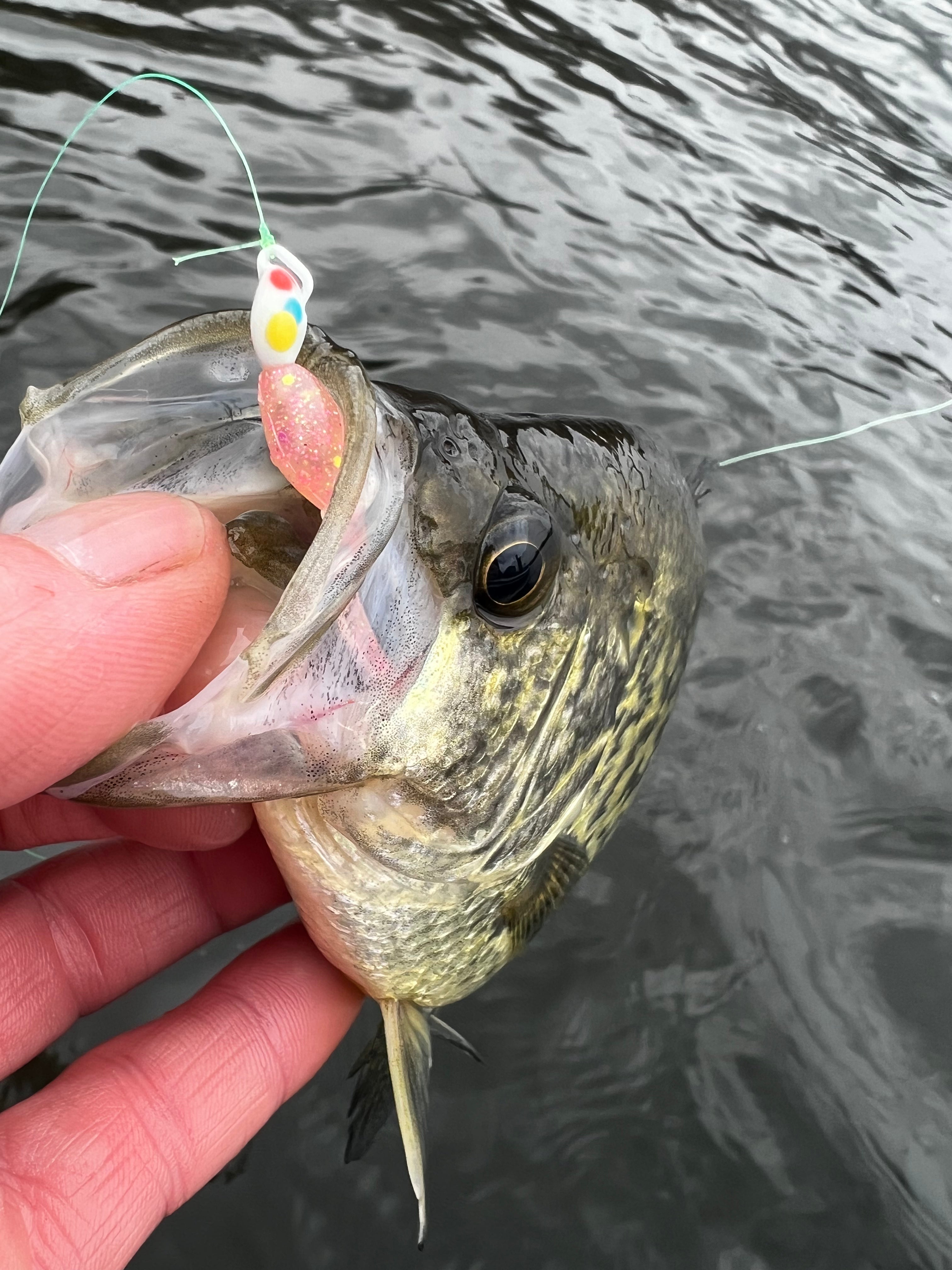 Switchback Jigs