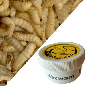 BillyRub "Wax-worm"