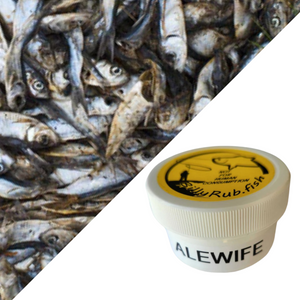 BillyRub "Alewife"